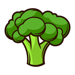Illustration of fresh ripe broccoli. Autumn harvest of vegetables. Food item for farms, markets and shops.