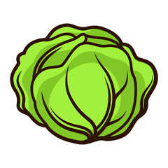Illustration of fresh ripe cabbage. Autumn harvest of vegetables. Food item for farms, markets and shops.