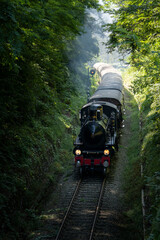Vintage steam train with ancient locomotive and old carriages runs on the tracks in the countryside - 457098857