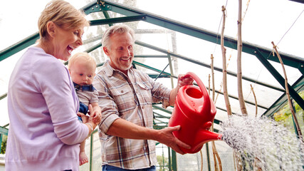Grandparents With Baby Grandson Watering Plants In Greenhouse Together