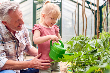 Grandfather With Granddaughter Watering Plants In Greenhouse With Watering Can Together © Monkey Business