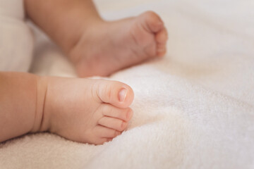 concept of childhood and the first months of life. legs of a newborn baby. kids.