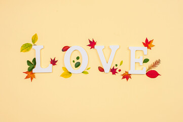 The word Love with colorful leaves on the pastel background.