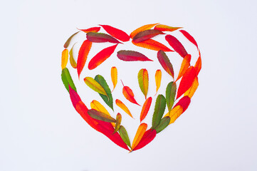 Creative concept autumn heart with leaves. Colorful leaves. Valentine concept.