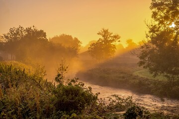 morning mist on the river