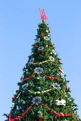 Christmas tree in the central square