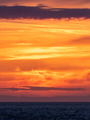 Fototapeta premium sunset over the sea