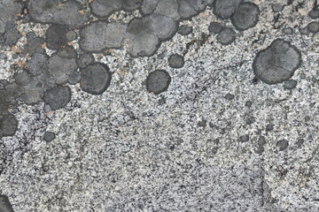 stone wall texture