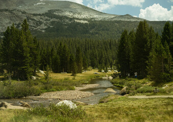 Fototapeta na wymiar Road-trip in Yosemite National Park during Summer