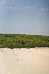 Cercles muraux Plage de Bolonia, Tarifa, Espagne Silueta de gente en dunas de bolonia en playas de cadiz