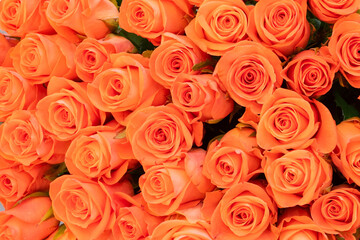 Bouquet of orange roses close up