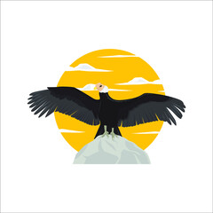 A vector illustration of condor bird or vulture
