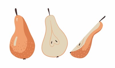 Vector illustration of three pears