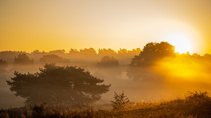 Naklejka premium Ein Sonnenaufgang an einem nebeligem Tag in Deutschland!