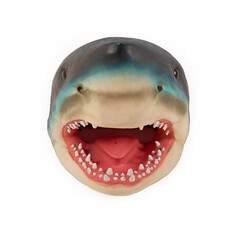 Naklejka premium shark head model on white background