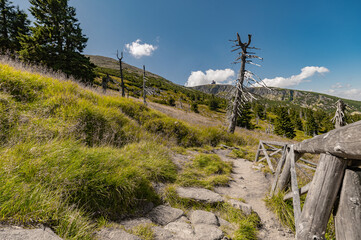 Sudetes, Giant Mountains, Śnieżne Kotły, Schneegruben, Karkonosze, Sudety, Poland