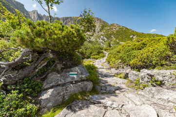 Sudetes, Giant Mountains, Śnieżne Kotły, Schneegruben, Karkonosze, Sudety, Poland