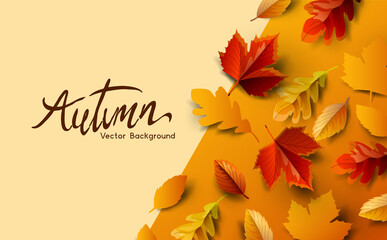 Autumn fall season background design with golden falling autumn leaves and room for copy text. Vector illustration