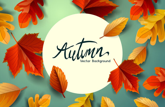 Autumn fall and thanksgiving background with falling leaves. Vector background.