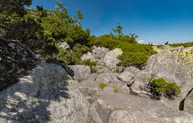 Sudetes, Giant Mountains, Śnieżne Kotły, Schneegruben, Karkonosze, Sudety, Poland