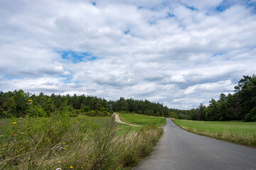 road in the forest