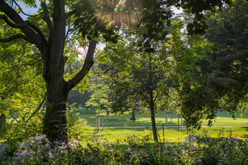 Naklejka premium spring in the park