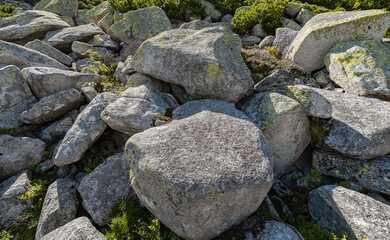 Sudetes, Giant Mountains, Śnieżne Kotły, Schneegruben, Karkonosze, Sudety, Poland