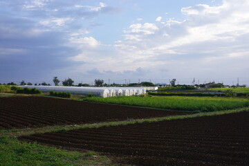 沖縄離島の風景