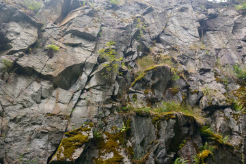 On the rocks grows greenery in the mountains.