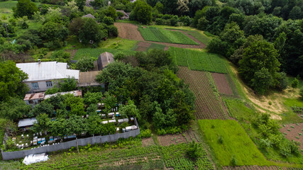 apiary near the house with a garden