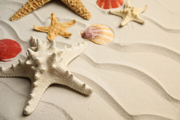 Fototapeta na wymiar Beautiful sea stars and shells on sand, closeup
