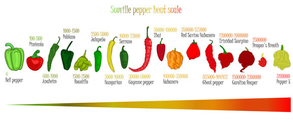 Scoville pepper heat scale. Pepper illustration from sweetest to very hot on color background. - obrazy, fototapety, plakaty