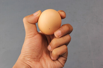 Hand holding chicken egg on gray background. clipping path