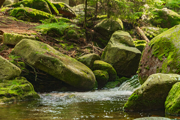 Giant Mountains, Karkonosze, Wodospad Szklarki, Kochelfall, stream, mountain stream, poland 