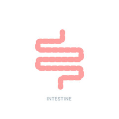 Intestine vector colon health icon. Gastrointestinal logo stomach symbol design