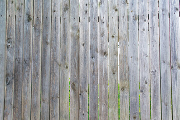 Unpainted natural gray wooden fence. The texture of the tree in the vertical fence.