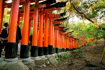 people walking through the torii gates at the fushimi inari-taisha shrine, japan