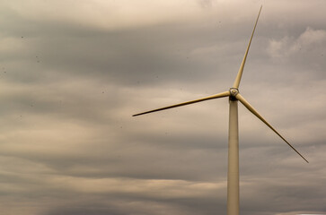 Fototapeta premium Nakhonratchasima, thailand -14 Nov, 2019 : Lamtakhong Wind Turbine Generators on mountain at Lamtakong dam(Khao Yai Thiang).