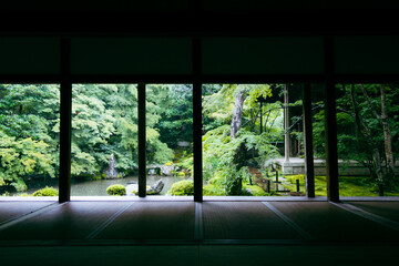 window in the garden