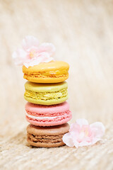 Colorful macaroons on light background