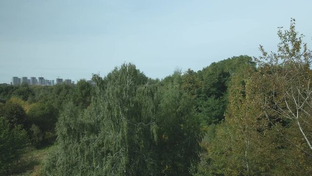 Autumn in the city park. Yellowed leaves are visible on the trees. Aerial photography.