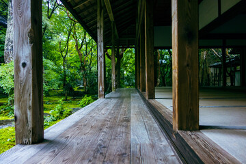 wooden bridge in the woods