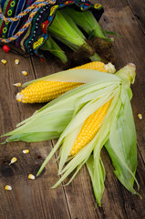 Two raw fresh corn, and bag with corn on wooden table