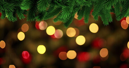 Digital image of green branches against red spots of light blinking on black background