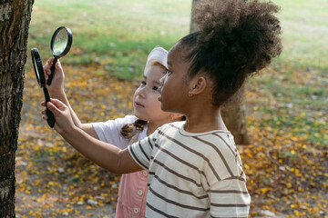Two little girls difference color skin uses a magnifying glass to find insects on the trunks of trees at the summer garden, outdoor education