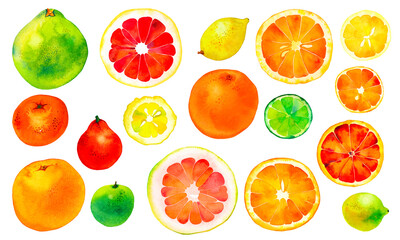 Citruses watercolor illustration: orange, lemon, lime, grapefruit, bitter orange, pomelo whole and sliced fruits, isolated on white background