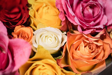 Nahaufnahme eines Rosenstraußes 