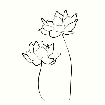 Flowers Line Art Drawing. Flowers Black Sketch Isolated on White Background. Minimalist Botanical Drawing.