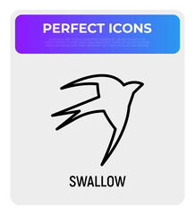 Swallow thin line icon. Modern vector illustration for logo.