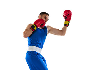 Portrait of one professional boxer in blue uniform training isolated over white background....